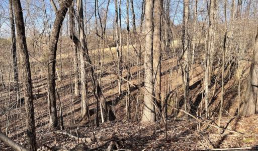 Photo #32 of SOLD property in Off Purcell rd , Reidsville, NC 143.5 acres