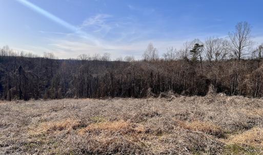 Photo #36 of SOLD property in Off Purcell rd , Reidsville, NC 143.5 acres