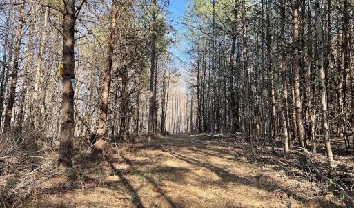 Photo #37 of SOLD property in Off Purcell rd , Reidsville, NC 143.5 acres