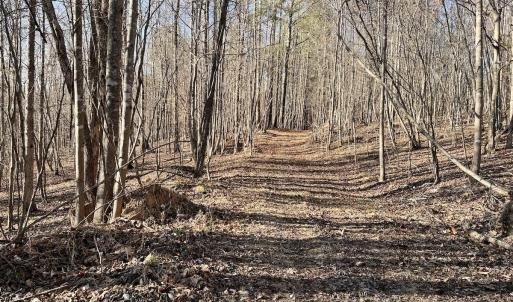 Photo #38 of SOLD property in Off Purcell rd , Reidsville, NC 143.5 acres