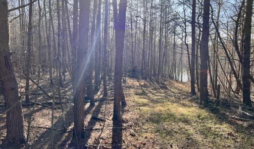 Photo #40 of SOLD property in Off Purcell rd , Reidsville, NC 143.5 acres