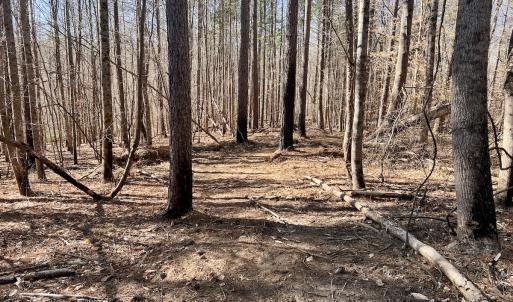 Photo #4 of SOLD property in Off Purcell rd , Reidsville, NC 143.5 acres