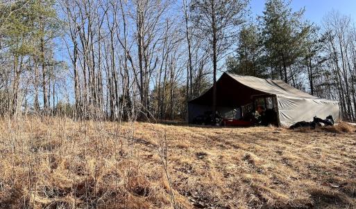 Photo #6 of SOLD property in Off Purcell rd , Reidsville, NC 143.5 acres