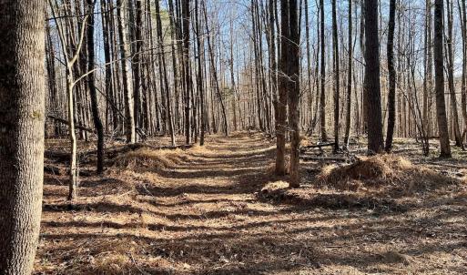 Photo #7 of SOLD property in Off Purcell rd , Reidsville, NC 143.5 acres