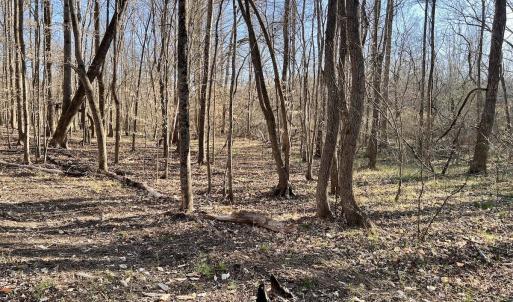 Photo #41 of SOLD property in Off Purcell rd , Reidsville, NC 143.5 acres