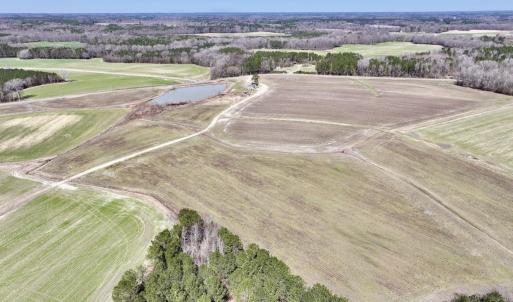 Photo #10 of 7725 Swift Creek School Road, Whitakers, NC 210.0 acres