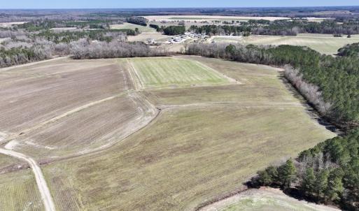Photo #12 of 7725 Swift Creek School Road, Whitakers, NC 210.0 acres