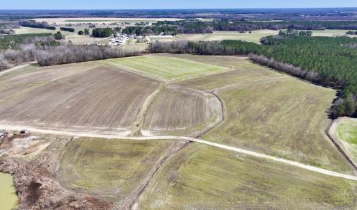 Photo #14 of 7725 Swift Creek School Road, Whitakers, NC 210.0 acres