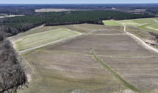 Photo #1 of 7725 Swift Creek School Road, Whitakers, NC 210.0 acres
