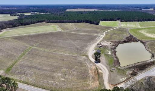 Photo #21 of 7725 Swift Creek School Road, Whitakers, NC 210.0 acres