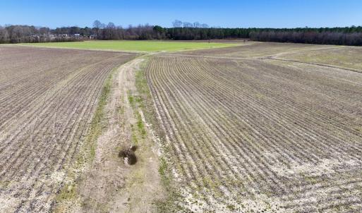 Photo #25 of 7725 Swift Creek School Road, Whitakers, NC 210.0 acres