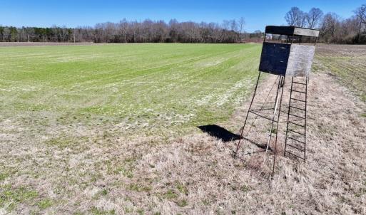 Photo #26 of 7725 Swift Creek School Road, Whitakers, NC 210.0 acres