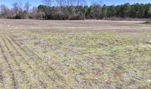 Photo #27 of 7725 Swift Creek School Road, Whitakers, NC 210.0 acres