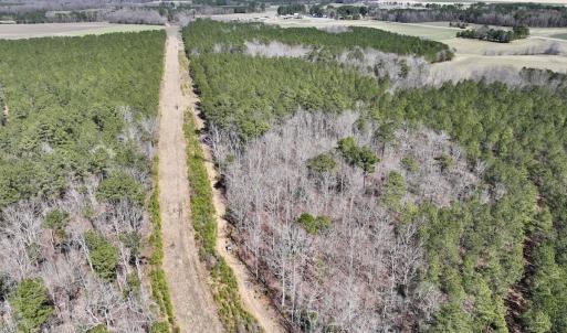 Photo #28 of 7725 Swift Creek School Road, Whitakers, NC 210.0 acres