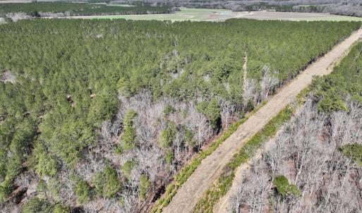 Photo #29 of 7725 Swift Creek School Road, Whitakers, NC 210.0 acres