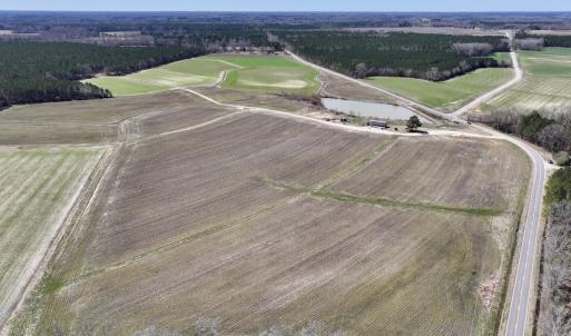 Photo #3 of 7725 Swift Creek School Road, Whitakers, NC 210.0 acres
