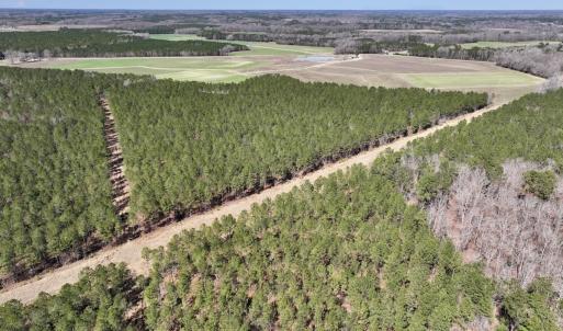 Photo #31 of 7725 Swift Creek School Road, Whitakers, NC 210.0 acres