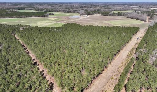 Photo #32 of 7725 Swift Creek School Road, Whitakers, NC 210.0 acres