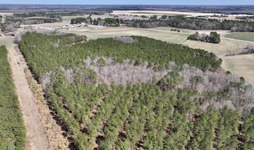 Photo #33 of 7725 Swift Creek School Road, Whitakers, NC 210.0 acres