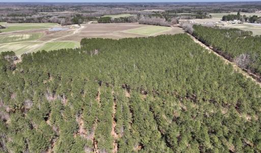 Photo #34 of 7725 Swift Creek School Road, Whitakers, NC 210.0 acres