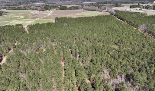 Photo #36 of 7725 Swift Creek School Road, Whitakers, NC 210.0 acres