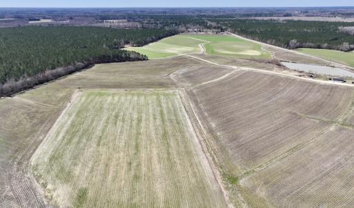 Photo #4 of 7725 Swift Creek School Road, Whitakers, NC 210.0 acres
