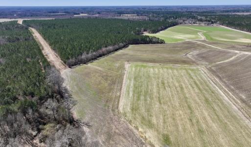 Photo #5 of 7725 Swift Creek School Road, Whitakers, NC 210.0 acres