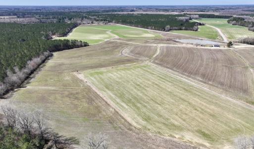 Photo #6 of 7725 Swift Creek School Road, Whitakers, NC 210.0 acres