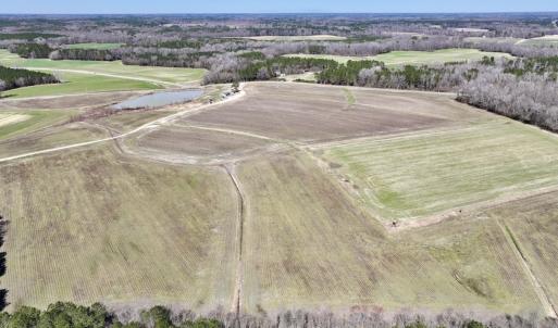 Photo #9 of 7725 Swift Creek School Road, Whitakers, NC 210.0 acres