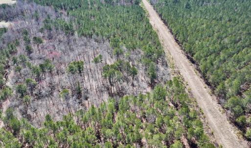 Photo #41 of 7725 Swift Creek School Road, Whitakers, NC 210.0 acres