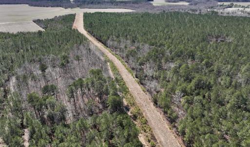 Photo #42 of 7725 Swift Creek School Road, Whitakers, NC 210.0 acres