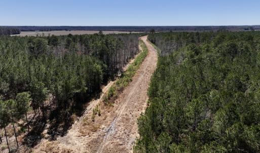 Photo #43 of 7725 Swift Creek School Road, Whitakers, NC 210.0 acres