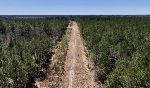 Photo #44 of 7725 Swift Creek School Road, Whitakers, NC 210.0 acres
