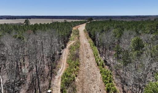 Photo #45 of 7725 Swift Creek School Road, Whitakers, NC 210.0 acres