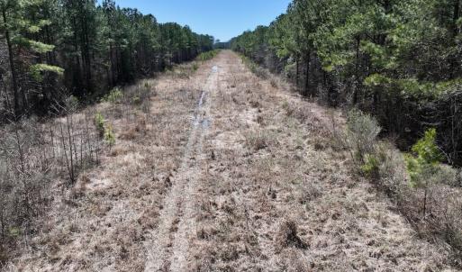 Photo #46 of 7725 Swift Creek School Road, Whitakers, NC 210.0 acres