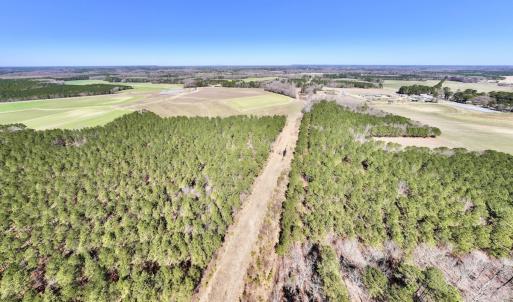 Photo #47 of 7725 Swift Creek School Road, Whitakers, NC 210.0 acres