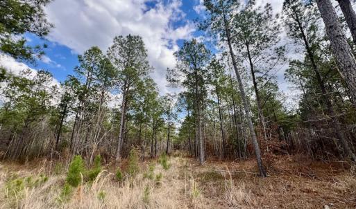Photo #50 of 7725 Swift Creek School Road, Whitakers, NC 210.0 acres