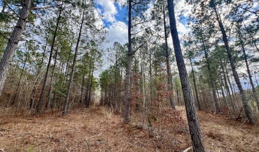 Photo #51 of 7725 Swift Creek School Road, Whitakers, NC 210.0 acres