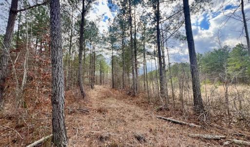 Photo #52 of 7725 Swift Creek School Road, Whitakers, NC 210.0 acres