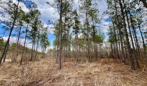 Photo #57 of 7725 Swift Creek School Road, Whitakers, NC 210.0 acres