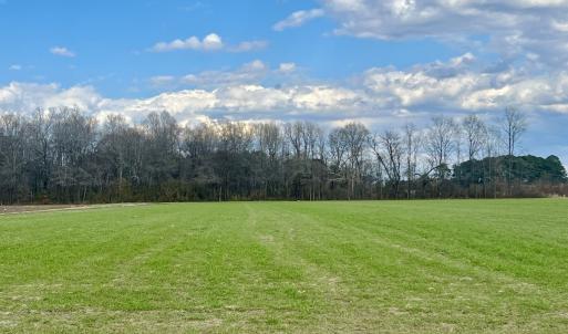 Photo #59 of 7725 Swift Creek School Road, Whitakers, NC 210.0 acres