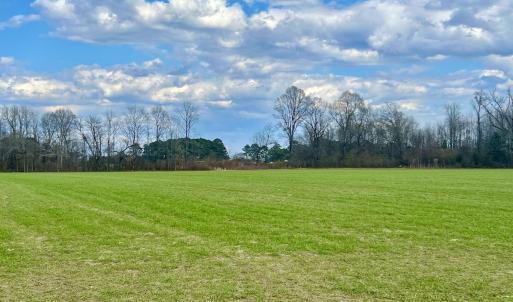 Photo #60 of 7725 Swift Creek School Road, Whitakers, NC 210.0 acres