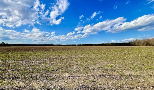 Photo #61 of 7725 Swift Creek School Road, Whitakers, NC 210.0 acres