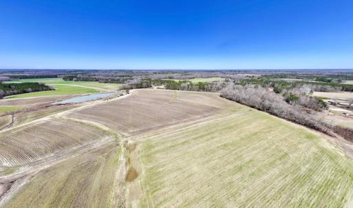 Photo #62 of 7725 Swift Creek School Road, Whitakers, NC 210.0 acres