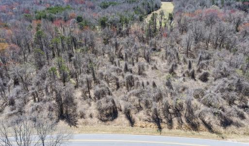 Photo #5 of Off Goodman Road, Lot-2, Pelham, NC 2.6 acres