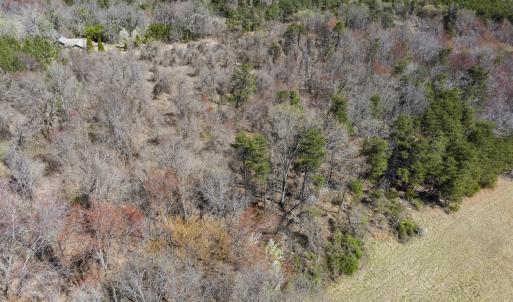 Photo #7 of Off Goodman Road, Lot-2, Pelham, NC 2.6 acres