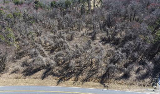 Photo #23 of Off Goodman Road, Lot-2, Pelham, NC 2.6 acres
