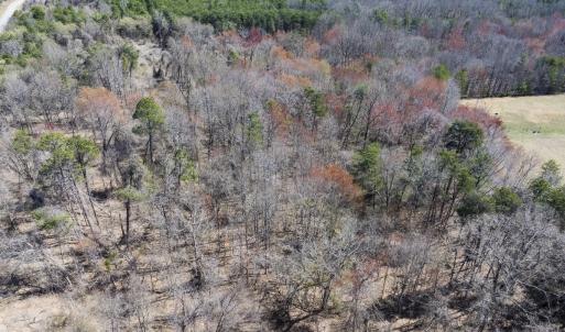 Photo #6 of Lot-3, Off Goodman Road, Pelham, NC 3.3 acres