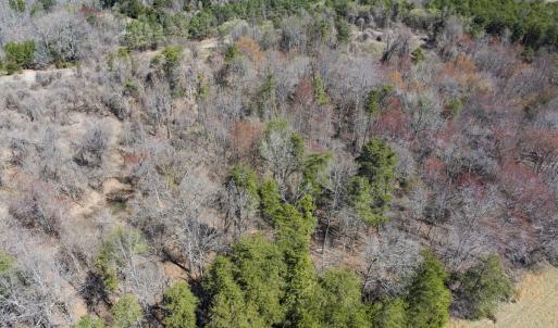Photo #8 of Lot-3, Off Goodman Road, Pelham, NC 3.3 acres