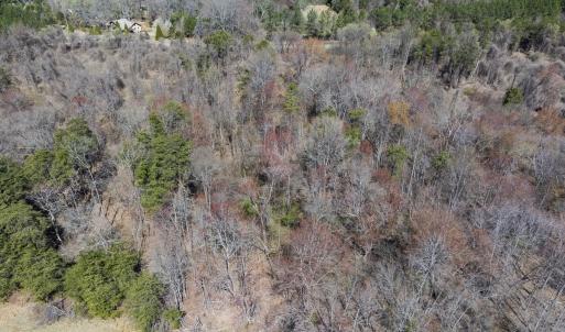 Photo #11 of Lot-3, Off Goodman Road, Pelham, NC 3.3 acres